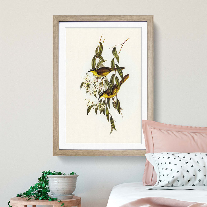 Wattle-Cheeked Honeyeaters by Elizabeth Gould - Framed Print, 36cm H x 27cm W x 2cm D, Oak Framed