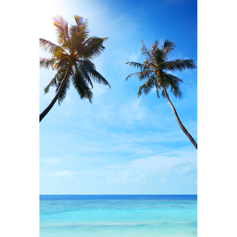 Turquoise Sea And Palms by Narvikk - Wrapped Canvas Print, 46cm H x 30cm W x 3.8cm D