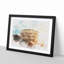 The Colisium in Rome Italy - Picture Frame Painting Print-56854609-56854613