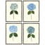 Pressed Hydrangea Set by Sandy Whitaker-259530007-259530003