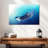 Brampt Underwater Orca-108156114