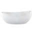 Picasso 60'' L Air Bathtub