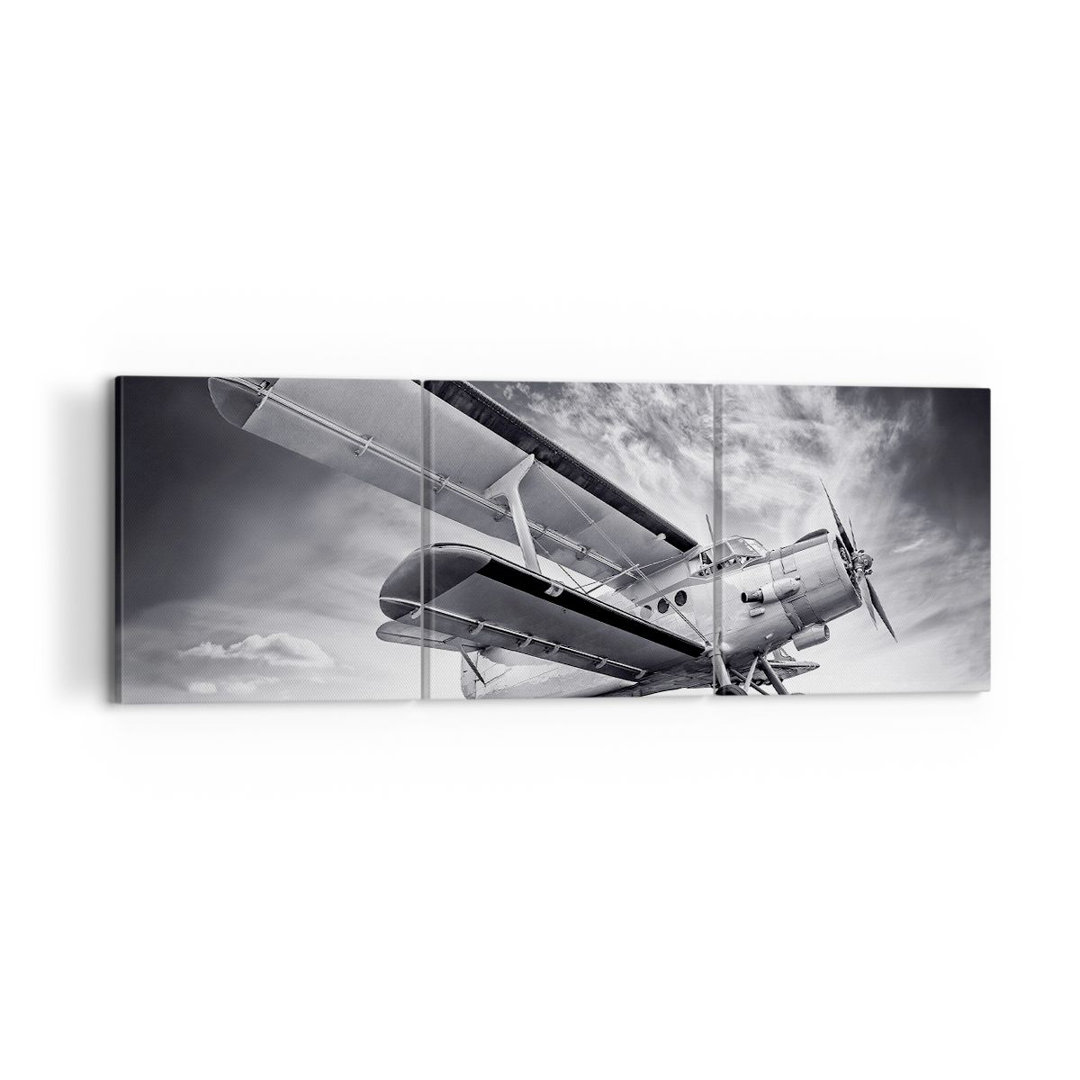 3-tlg. Leinwandbilder-Set Plane An-2 Black And White