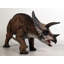 Statue de bébé dinosaure tricératops définitif