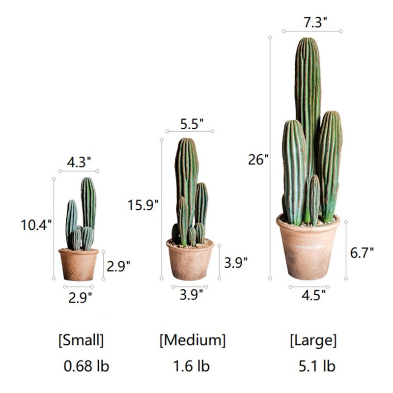 Faux Cactus Succulent in Terracotta Pot, 15.9" H x 5.5" W x 3.9" D