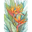 «Bayou Breeze», art sur toile tendue par Tim, «Tropical Botanical Paradise II»-519918269