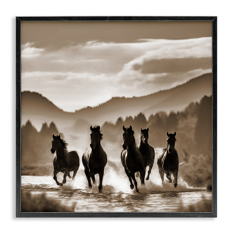 «Splashing Canyon Stallions», art de la giclée encadrée par Noah Bay, H 17 po x l 17 po, Giclée encadrée noir minuit