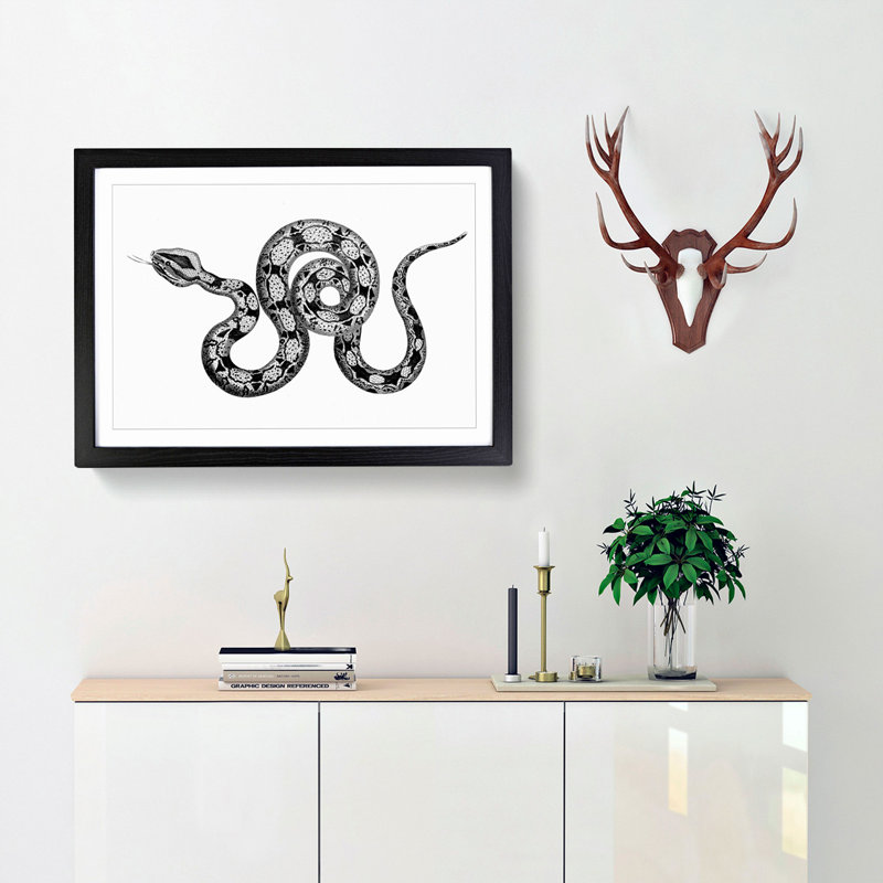 Boa Constrictor Snake in Black and White by George Shaw - Picture Frame Drawing Print, 48cm H x 65cm W x 2cm D, Black Framed