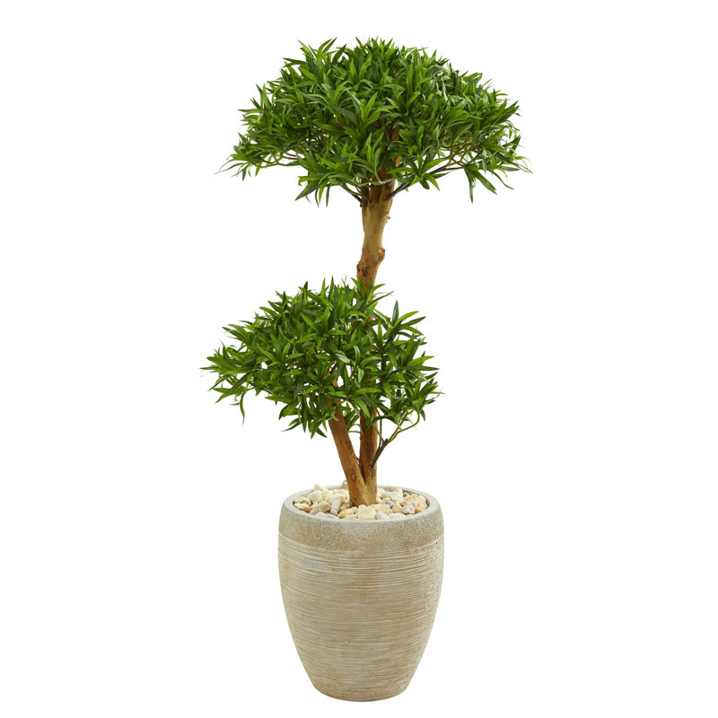 Bonsai Styled Podocarpus Artificial Tree