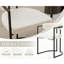 Upholstered Dining Chair-1479764976