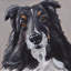 Sheltie Lovers 1 Piece Wrapped Canvas Painting-792594274