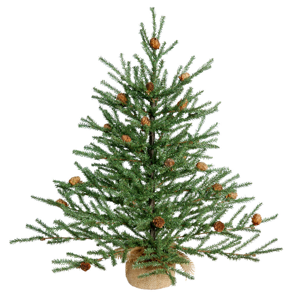 Eastport 3.5' Pre-Lit Pine Christmas Tree, 2' H, Warm White LED