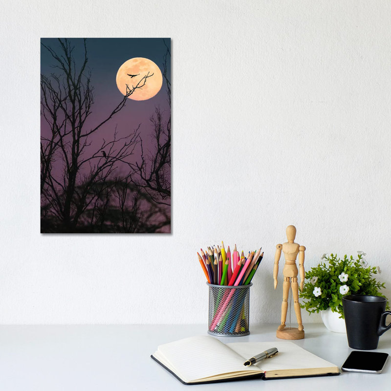 Moon Night by Nirs Photography - Wrapped Canvas Painting, 20.32 cm H x 30.48 cm W