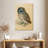 Brampt The Little Owl-108445370