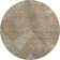 Premium Machine Washable Prisco Brown Rug