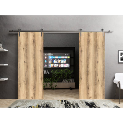Portes de grange coulissantes doubles avec quincaillerie | Planum 0010 | Ensemble de 13 cintres robustes | Porte de salle de bain moderne à panneau solide