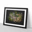 Separating The Forest - Picture Frame Graphic Art-56876734-56876732
