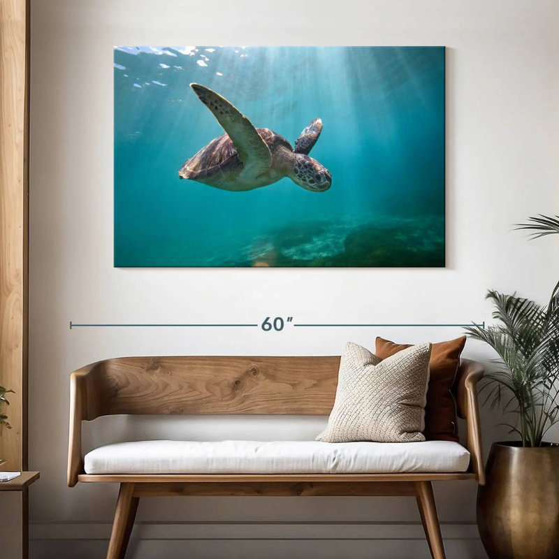 Tortue de mer Brampt Martinique, H 32 po x l 48 po