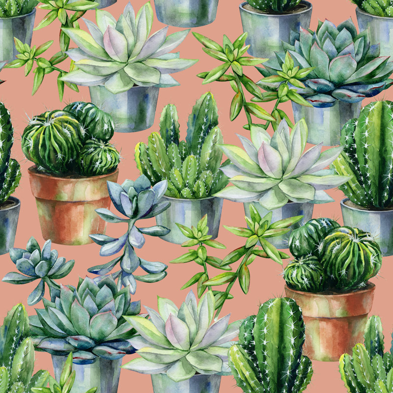 Whitinsville, cactus et plantes grasses sur toile, impression, H 12 po x l 12 po x P 1,25 po