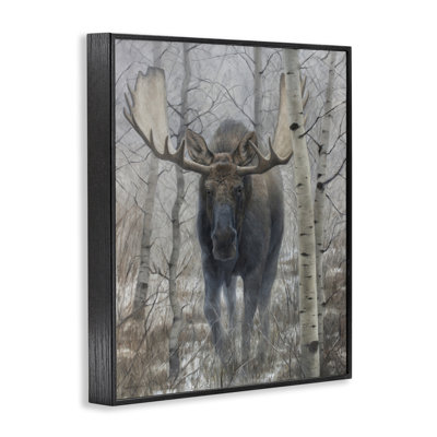 Moose in Winter Birch Forest Framed Giclee, design by James Corwin