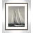 Amaryl Fair Wind by Danita Delimont - Picture Frame Photograph Print-59881932-59881938