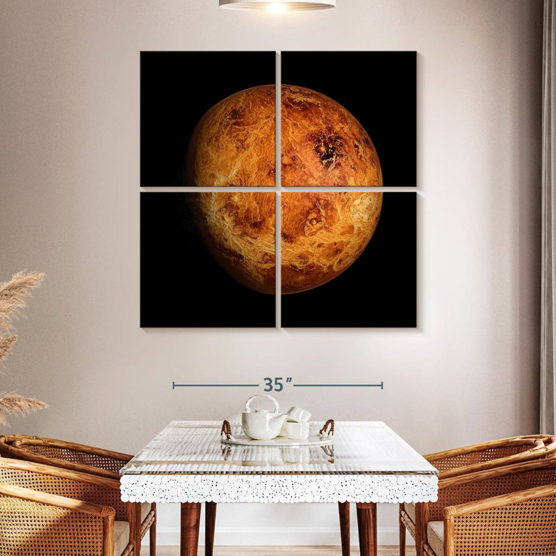 Oberle Venus Close Up, 45" H x 45" W