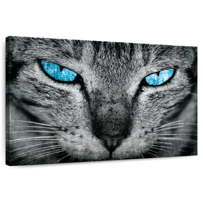 Cat Eyes Pop