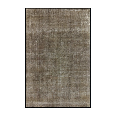 Oriental Indoor Rug