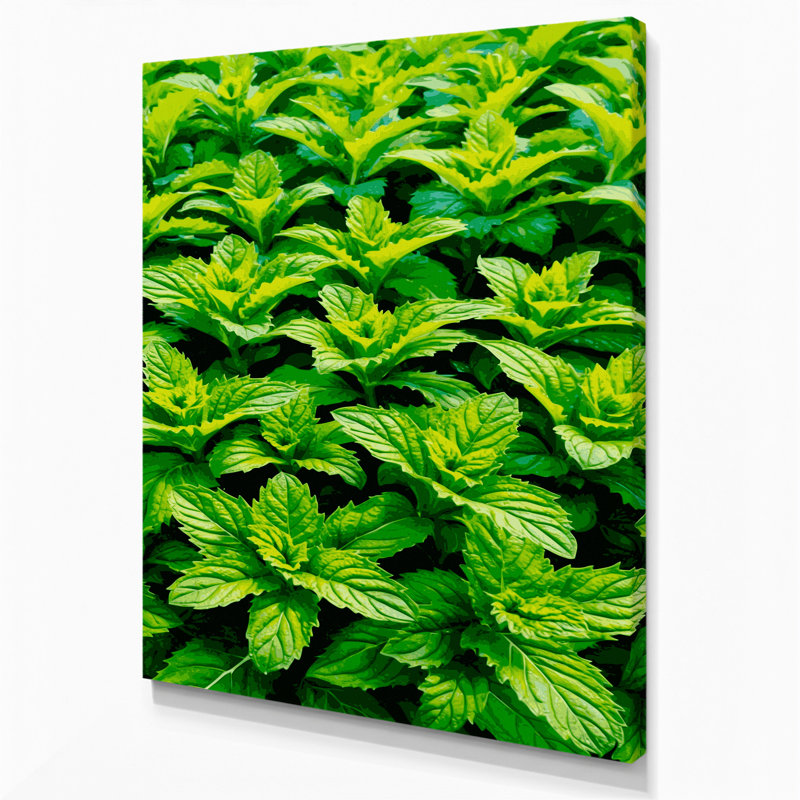 "Watercolor Botanical 64", art mural sur toile verte, H 11 po x l 14 po