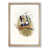 Oak Framed