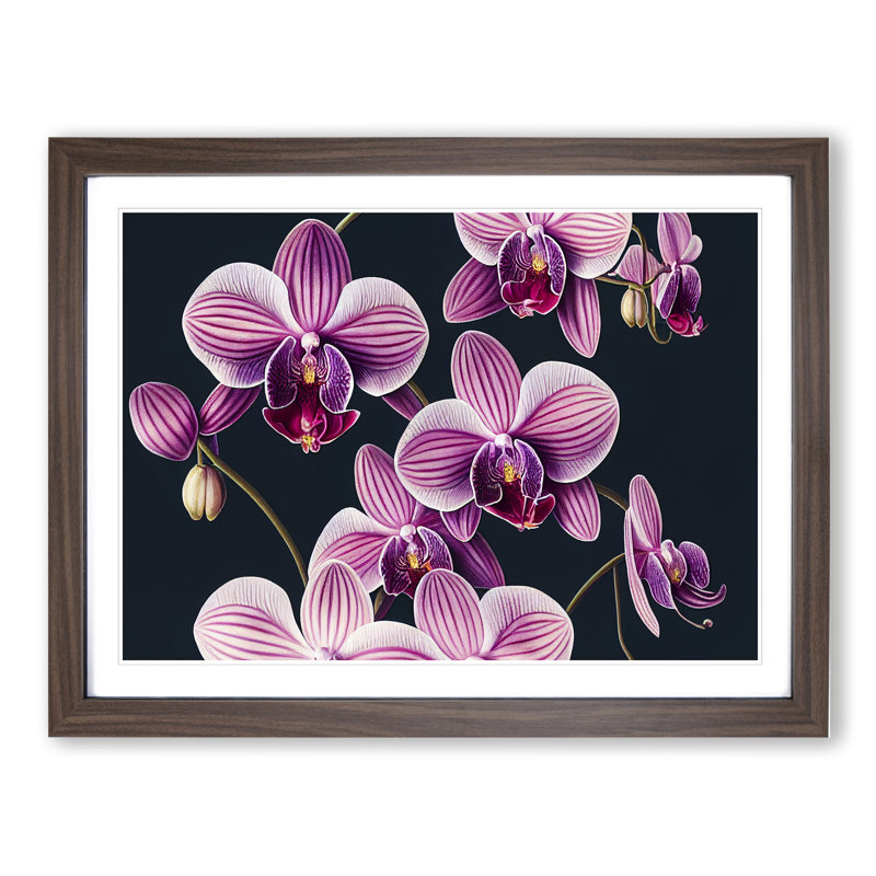 Sparkling Orchid Flowers - Framed Print, 46cm H x 64cm W x 2cm D, Walnut