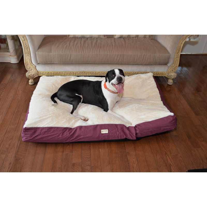 Extra Large Burgundy and Ivory Orthopedic Canvas Pet Bed