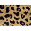 Hand-Knotted High-Quality Gold and Black Area Rug