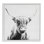 Croquis de longhorn en art giclée encadré par Katrina Craven