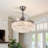 Kayetan 42'' Ceiling Fan with LED Lights