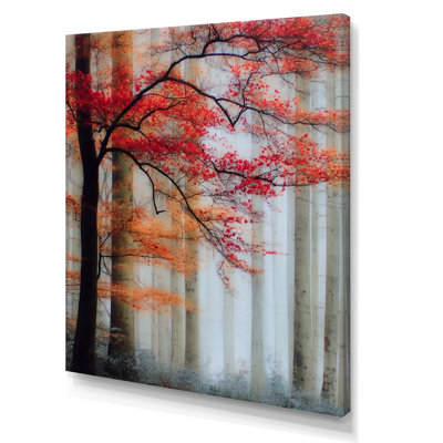 «Autumn Forest Morning Dew In Québec - Forest», art mural sur toile, Nature rouge