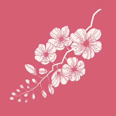 Sakura Branch - Wrapped Canvas Print