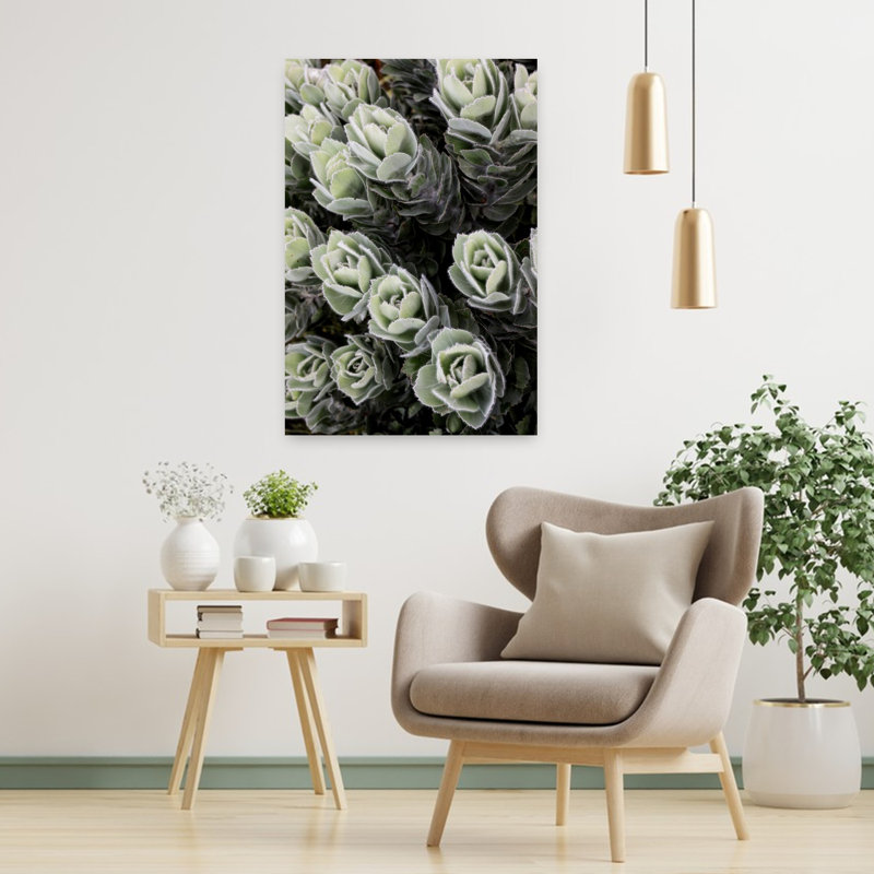 Art contemporain, art abstrait moderne, plante grasse, H 36 po x l 24 po