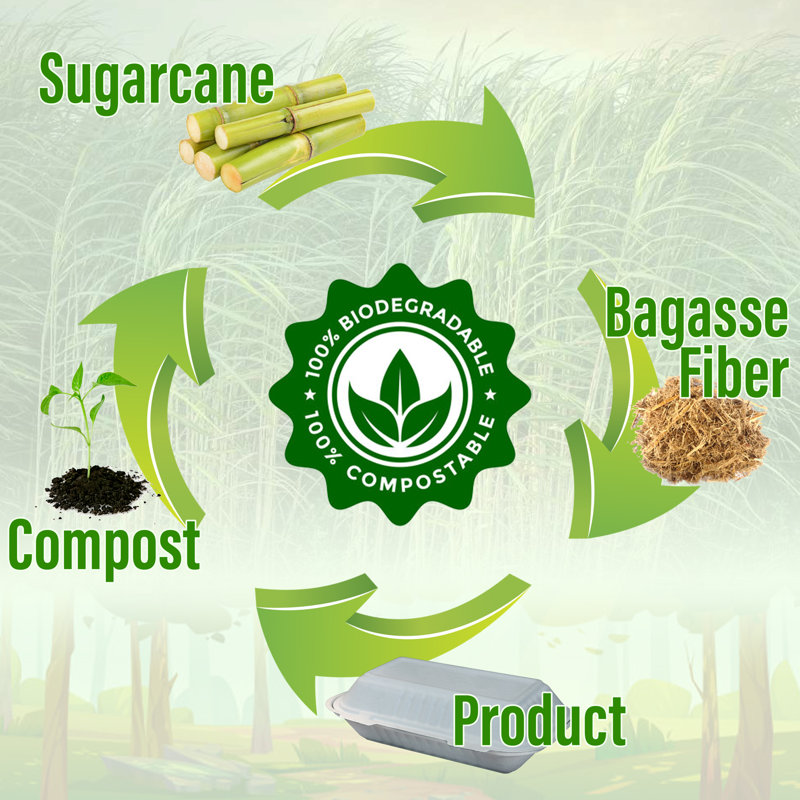 Bamboo Party Supplies Kit