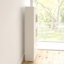 Rech Display Cabinet