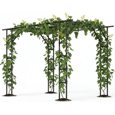 11Ft Metal Garden Arch Trellis | For Raised Beds, Plant Support for Cucumbers & Climbing Vegetables