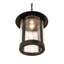 Fulton 1 - Light Pendant
