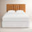 Candi Genuine Leather Headboard in Saddle Tan-279463896