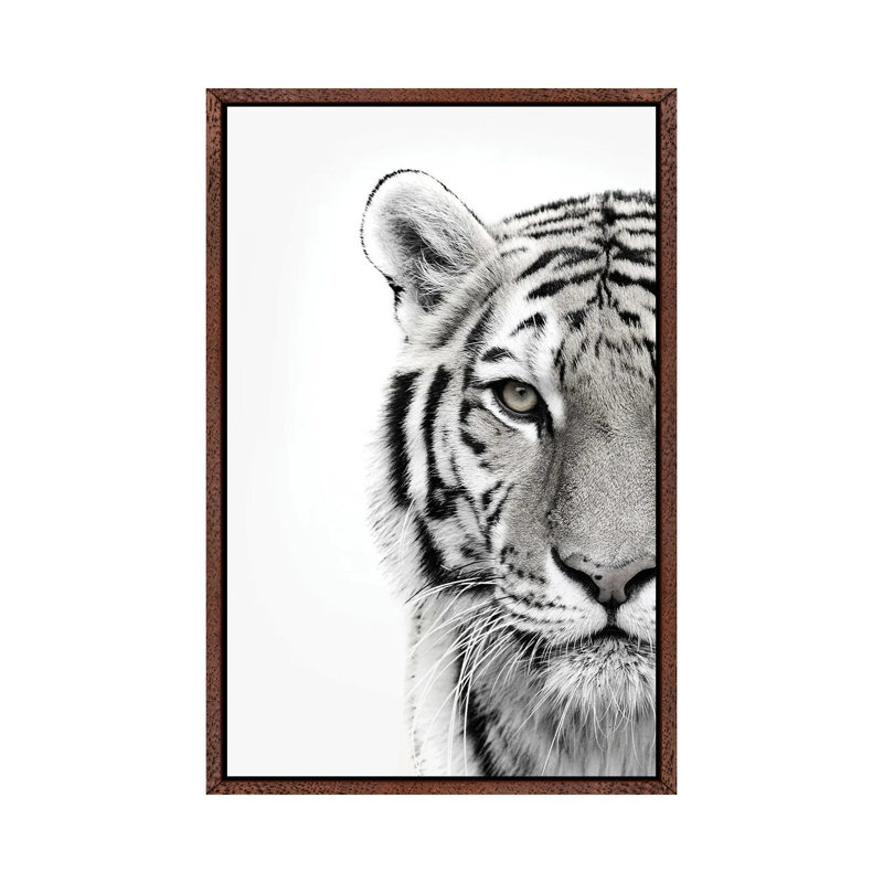 White Tiger - Print on Canvas, 66.04cm H x 45.72cm W x 3.81cm D, Classic Brown Wood Framed