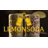 Tiki Blossom Ceramic Shot Glasses 3oz