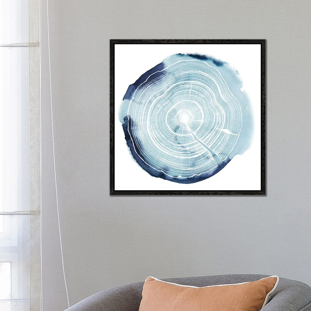 Tree Ring Overlay III von Grace Popp - Gallery-Wrapped Canvas Giclée on Canvas