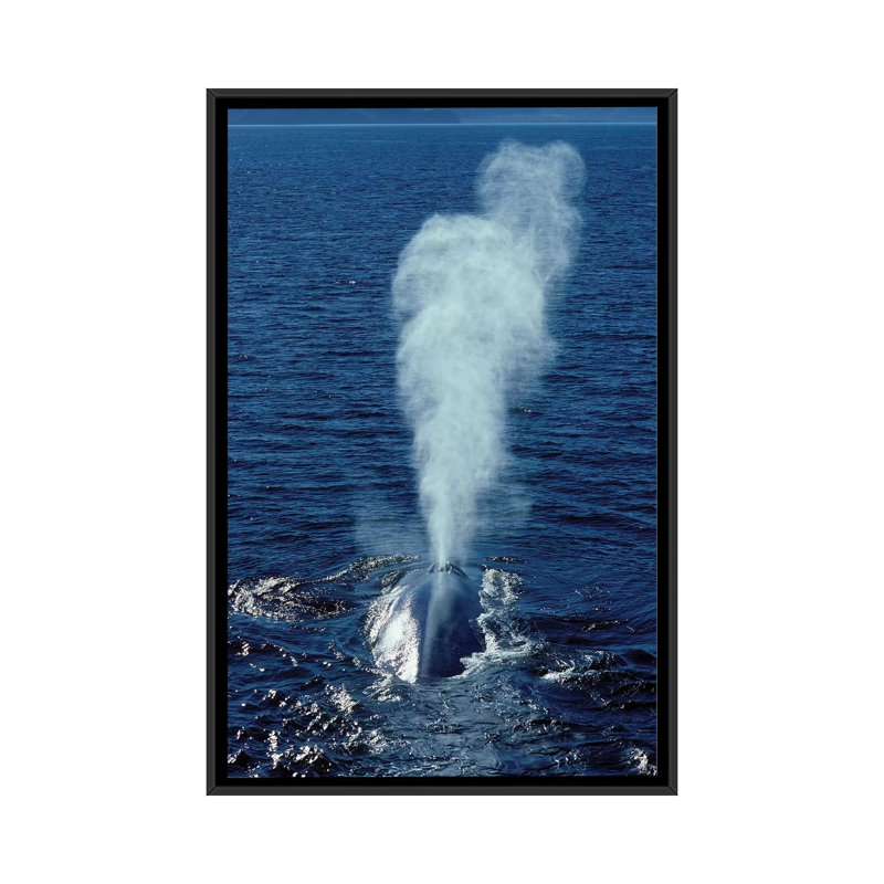 « blue baleine », toile photo imprimée, H 26 po x l 18 po x P 1,5 po, Toile avec cadre noir, Pas de tapis