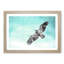 Eagle Bird in the Clouds - Picture Frame Graphic Art Print-56712885-56712881