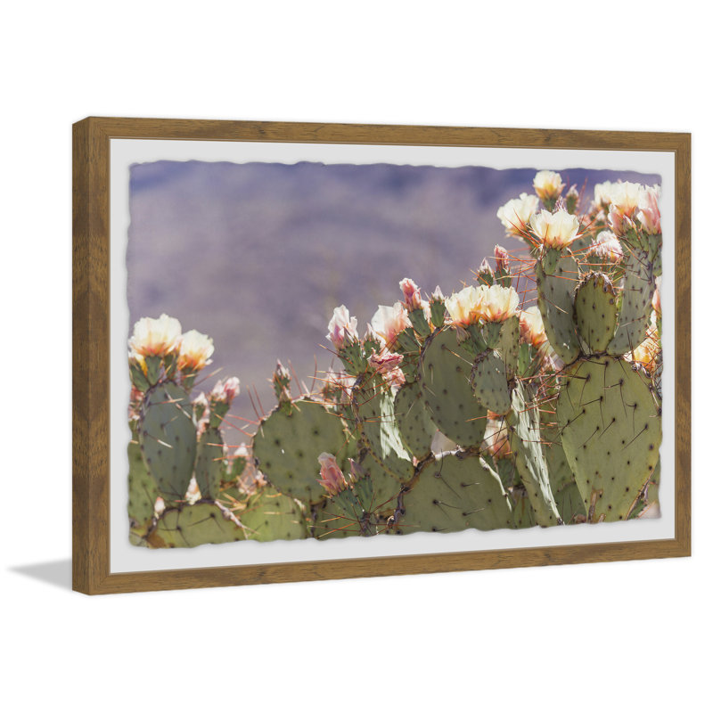Bloom Everywhere by Ann Barnes - Single Picture Frame Print, 41cm H x 61cm W x 4cm D