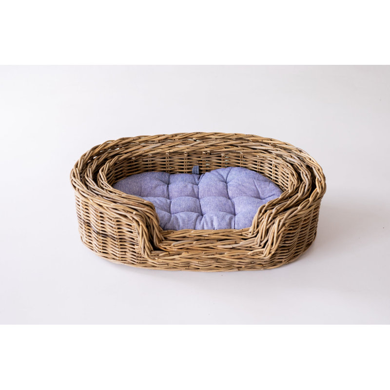 Pet Bowl - M